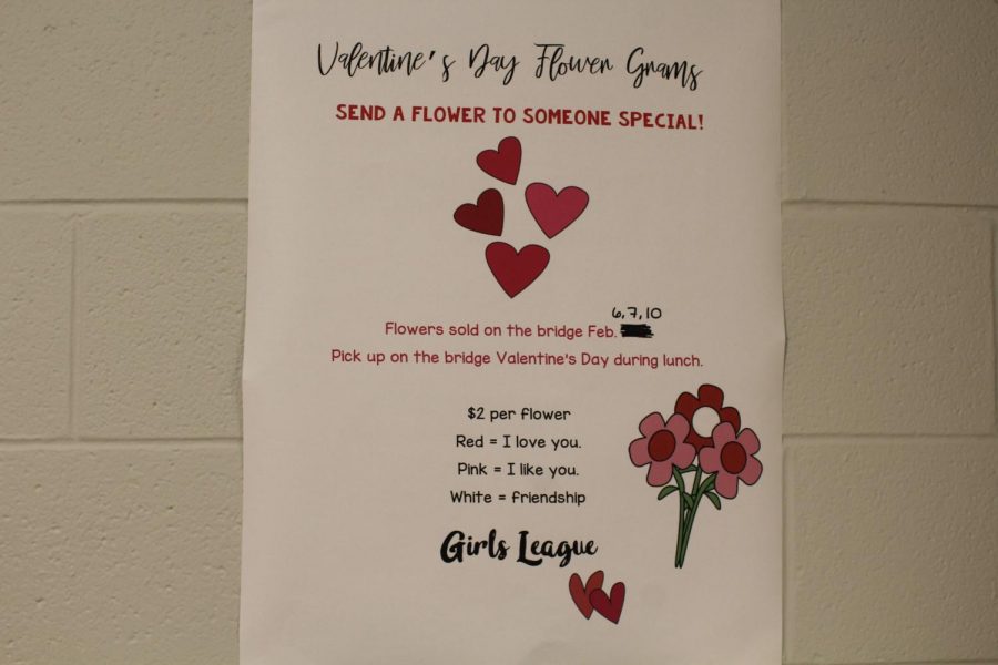 Check this out! Girls League will be selling flower grams for Valentines Day. Each color has a different meaning and can be sent to someone special. 