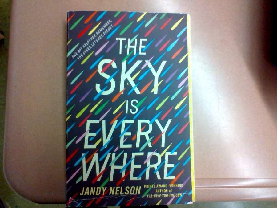 The+Sky+is+Everywhere+by+Jandy+Nelson+is+a+popular+book+for+teens+in+Readers+Workshop.