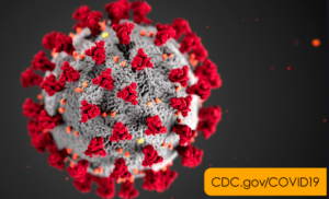 The Coronavirus, or Covid-19, was declared a pandemic by the World Health Organization on March 11. 