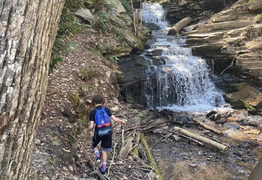 Bonus idea! Go hiking. Places around Altoona are 1000 steps, Canoe Creek, Tytoona Caves, and Trough Creek, where this photo was taken. 