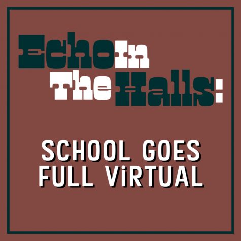 How do you feel about the school boards decision on being full virtual?