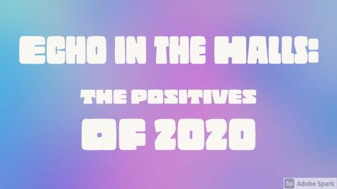 What was a positive outcome of 2020 for you?
