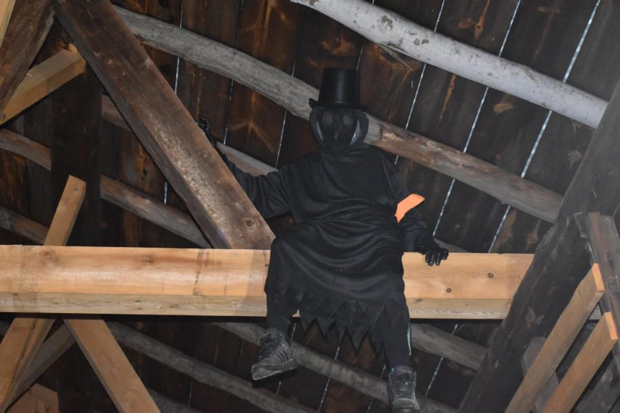 Im up here. -------- sits in the rafters of the barn to scare trick or treat-ers. 