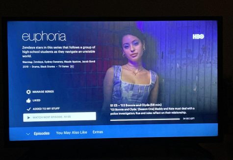 The show Euphoria stars American actress, Zendaya. The television show was released on June 16, 2019.