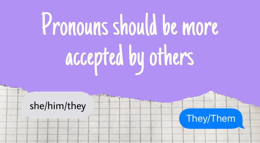Pronoun usage is a topic discussed frequently among students.