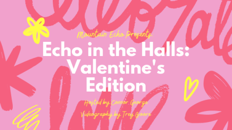Echo in the Halls: Valentine Edition