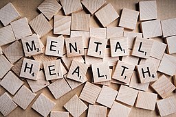 At times during the school year, mental health needs to be maintained.