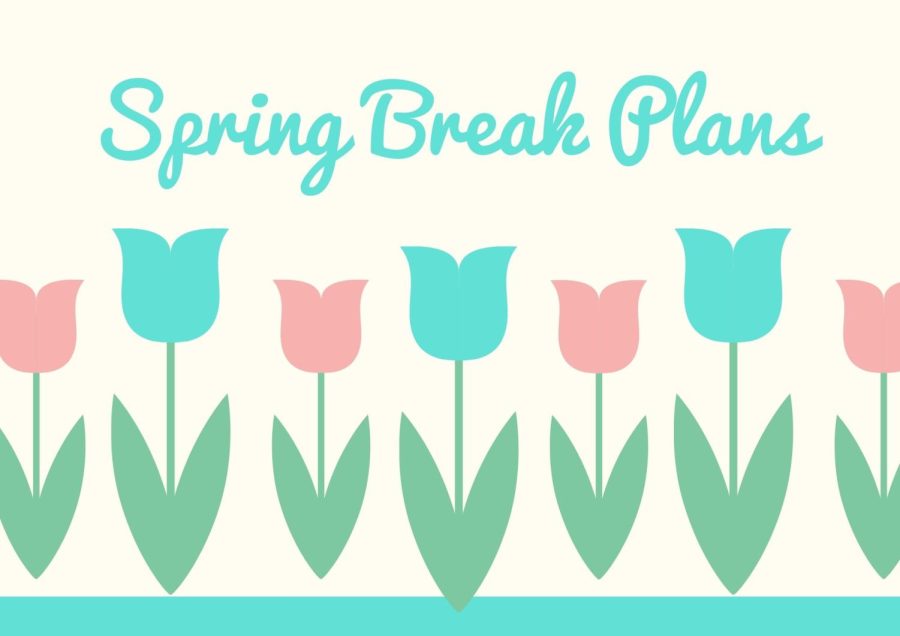 Students and staff are preparing while spring break is approaching.  Many of them have different ways to spend their break. 