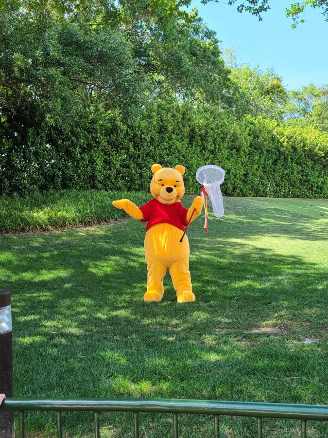 Winnie the Pooh pretends to catch butterflies with a net at Epcot. Many people also got photos with him.