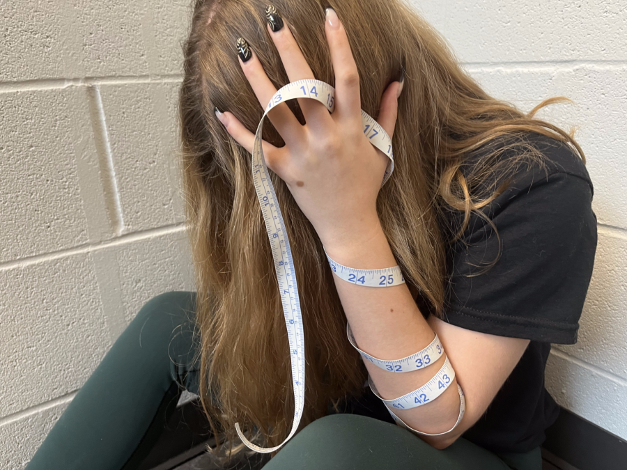 Hateful Numbers 
Some students struggle with self image and appearance. Around 4 percent of teens and adolescents will struggle with an eating disorder in their lives. 