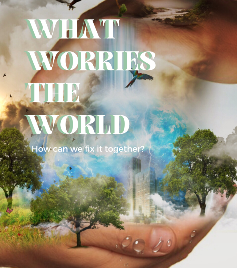 What worries the world