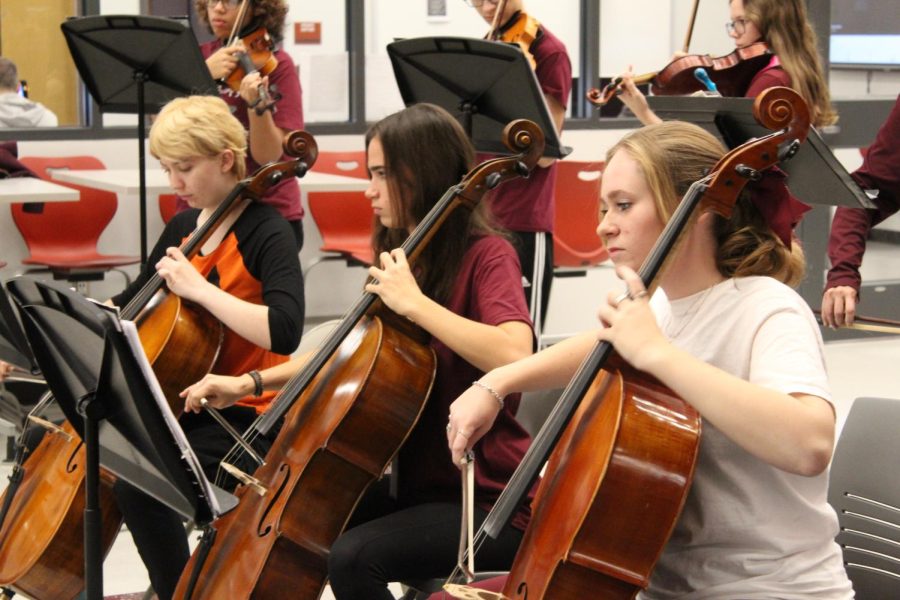 Practice Makes Perfect.  Andrea Slusser not only is a part of PJAS but also the orchestra and string ensemble.