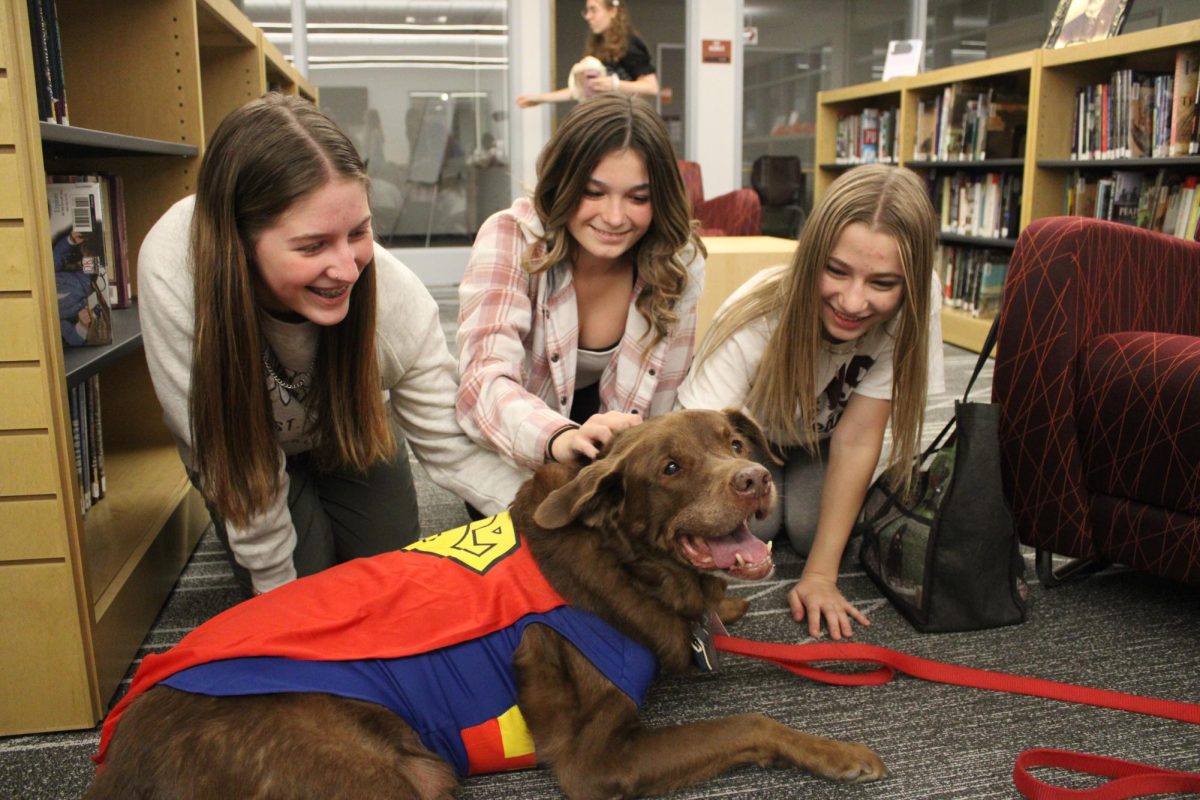 Therapy dogs. Students interact with one of the therapy dogs brough in by volunteers. In addition to teachers bringing their dogs, volunteers from the community bring their dogs in every Thursday to the library. 