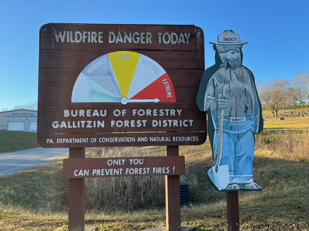 Only who can prevent forest fires? Smokey the bear seen at the Gallitzin Forest District during the 2023 Canadian wildfires.