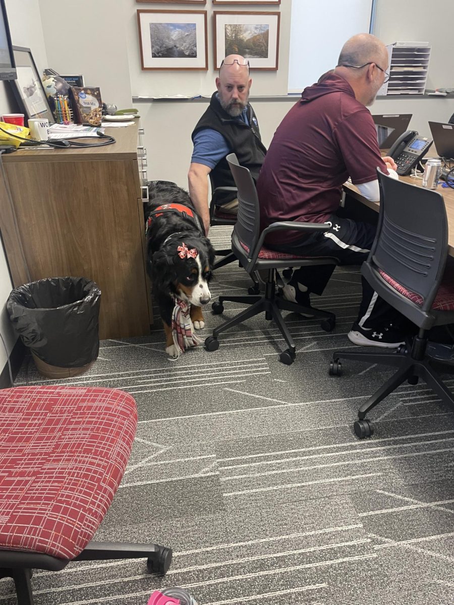 Getting the full experience. McKinley joins her owner, John Saboe, for a department head meeting. Throughout the meeting, McKinley livened up the otherwise boring meeting. 