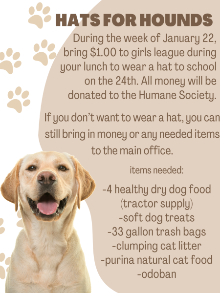 Posters will be put up around the school as a reminder to support the Humane Society. 