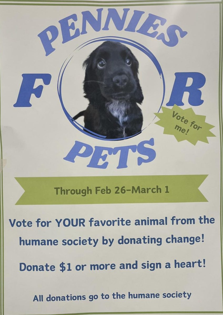Making a difference. Student council works hard to make a difference in the school and in society. Their most recent project was raising money for a local animal shelter. 