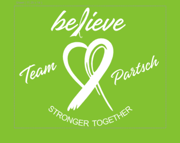 team partsch logo
