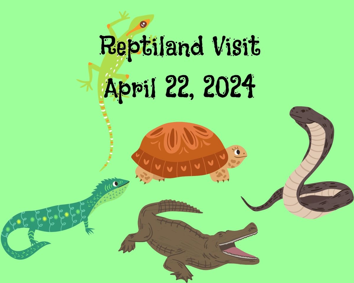 World of scales. Reptiland is set to visit Altoona biology students on April 22. 