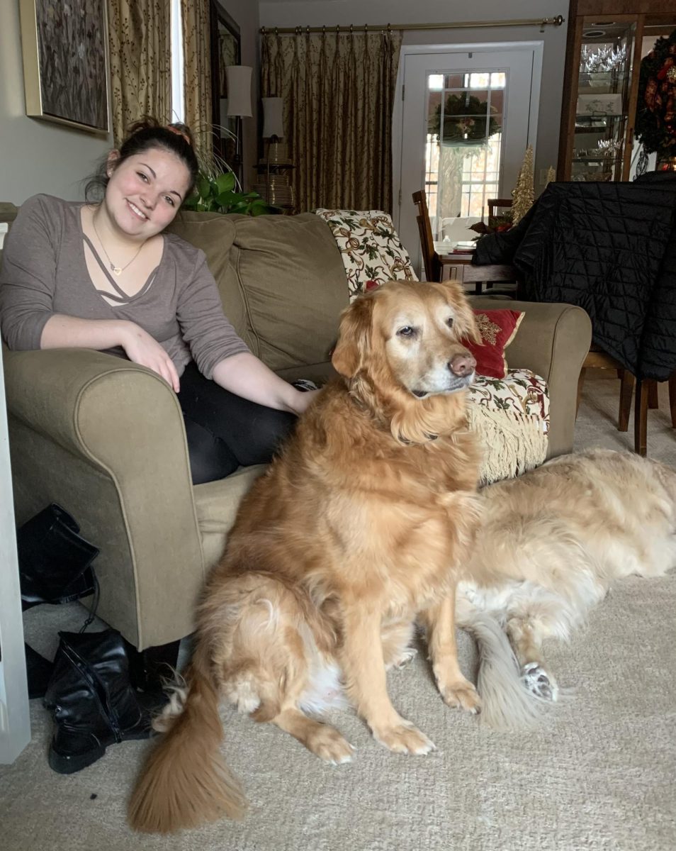 Golden. Sophomore Madison Aboud spends time with her two golden retrievers. She took a break from baking cookies and hung out with her dogs.