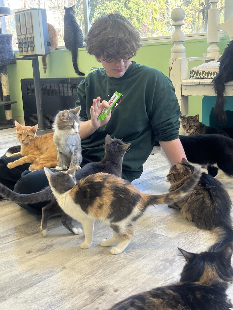 Crazy cats. Senior Thomas Ford sits down surrounded by cats at the Second Chance Strays Cat Rescue and Lounge while feeding them treats. The lounge is meant to give the cats another chance to find a home and receive the care they need. 