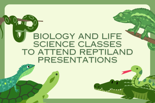 Wild reptiles. Reptiland has visited Altoona schools once before, when ninth grade was still in the junior high. Biology teacher Jessica Hogan hopes that the presentation will not only be educational, but also that some students may be inspired to visit Reptiland.

