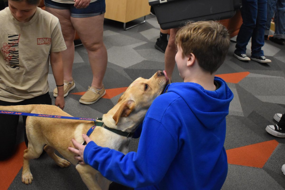 Lovely Pup. Abe licks a student as he pets him. Abe is around a year old and is looking to be adopted. 