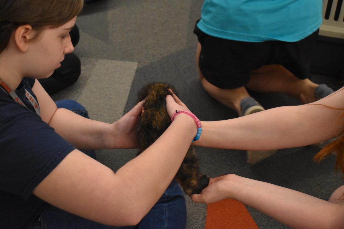 Kitty Time! Two students enjoy their time with the kittens. Five were found in a tote and two got to visit today. 