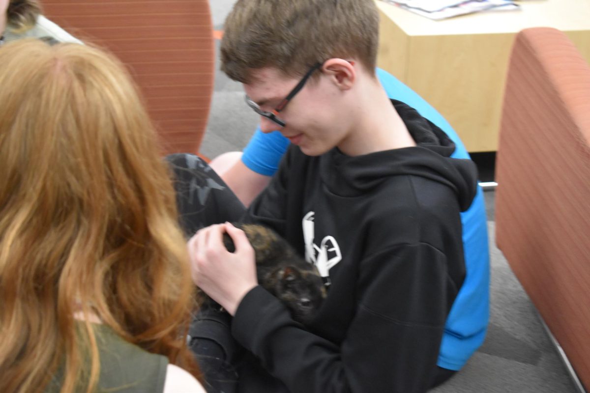 Cat Cuddles. Freshman Adrian Pacifico cuddles with the kittens. 