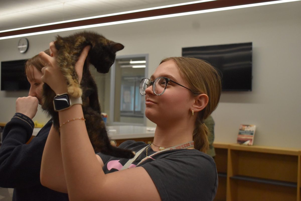 Simba! A freshman holds the cat up high and talks to it during the visit. This was all a part of a community service project that freshmen seminar classes had to do. 