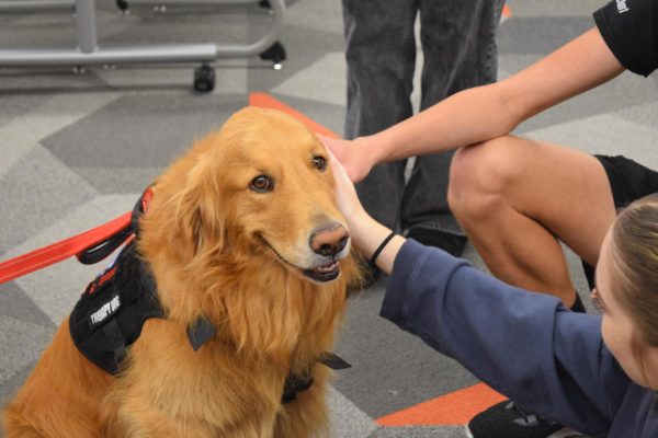 Puppy love. Therapy dog Cooper brightens the days of students. Students had the opportunities to meet with therapy dogs and their owners on Thursday, Sept. 26. 