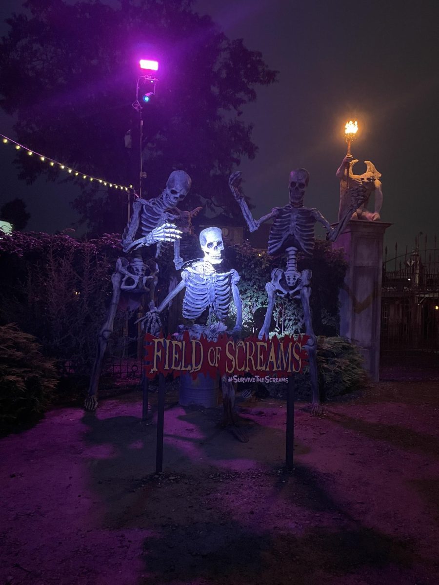 Spooky skeletons. Three skeletons wait to startle anyone who dares to enter "Field of Screams". The sheer size of the skeletons added to the strange and eerie atmosphere of the park. 