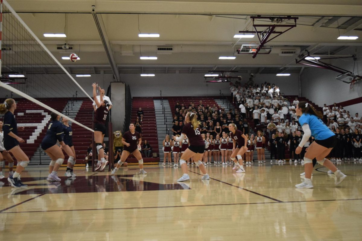 Sophomore Kayden Weyandt jumps to spike the ball. The team has moved onto playoffs. 