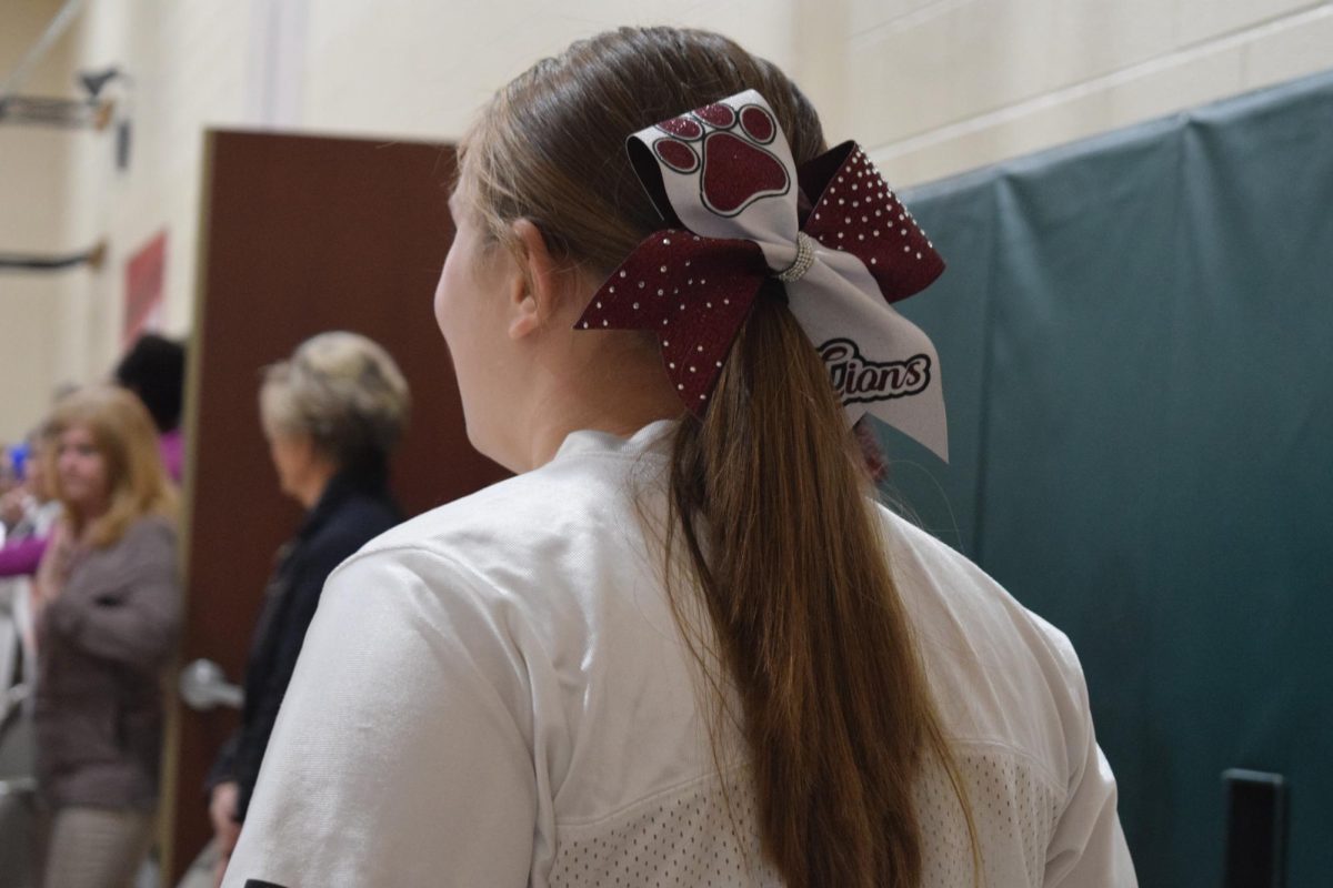 Returning once more. Sophomore Kinsley Palilla looks out to the elementary students. Palilla takes part in the high school cheerleading squad. 