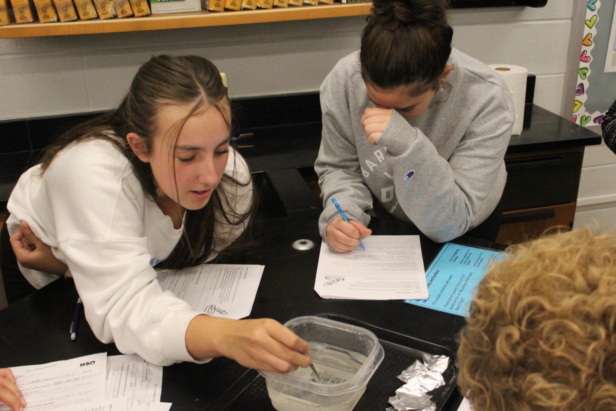 Freshmen Isabella Foor and Andie Kephart follow their lab procedures.