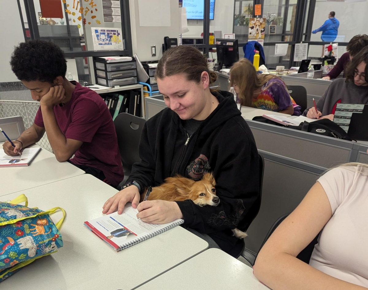 Puppy love. Rusty spends time in a student's lap during class time. The student read through her workbook as Rusty roamed through Vanish's classroom, when Rusty approached her, seeking for attention.