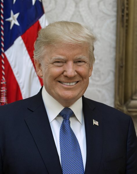 Official portrait of President Donald J. Trump.  Craighead, Shealah, photographer