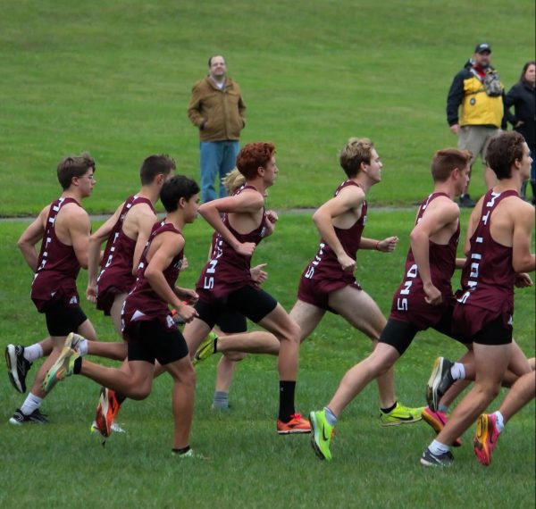 Going the distance. Cross country runners pacing themselves for the challenge ahead.