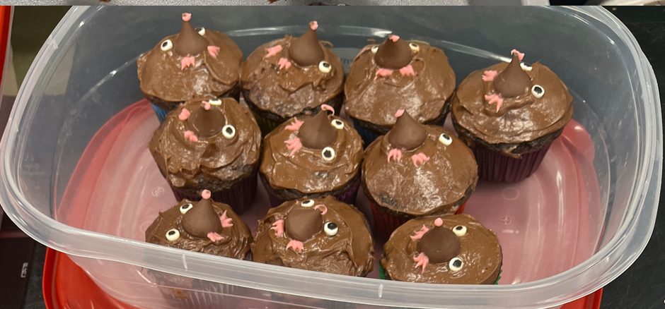 Chocolate dream. Students make chocolate cupcakes with moles on top of each. 