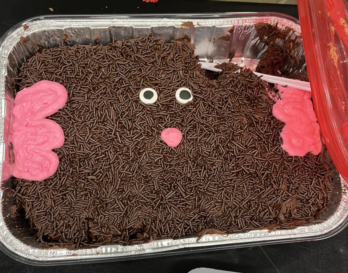 Creative cake. Sprinkles depict a mole face under chocolate frosting. 