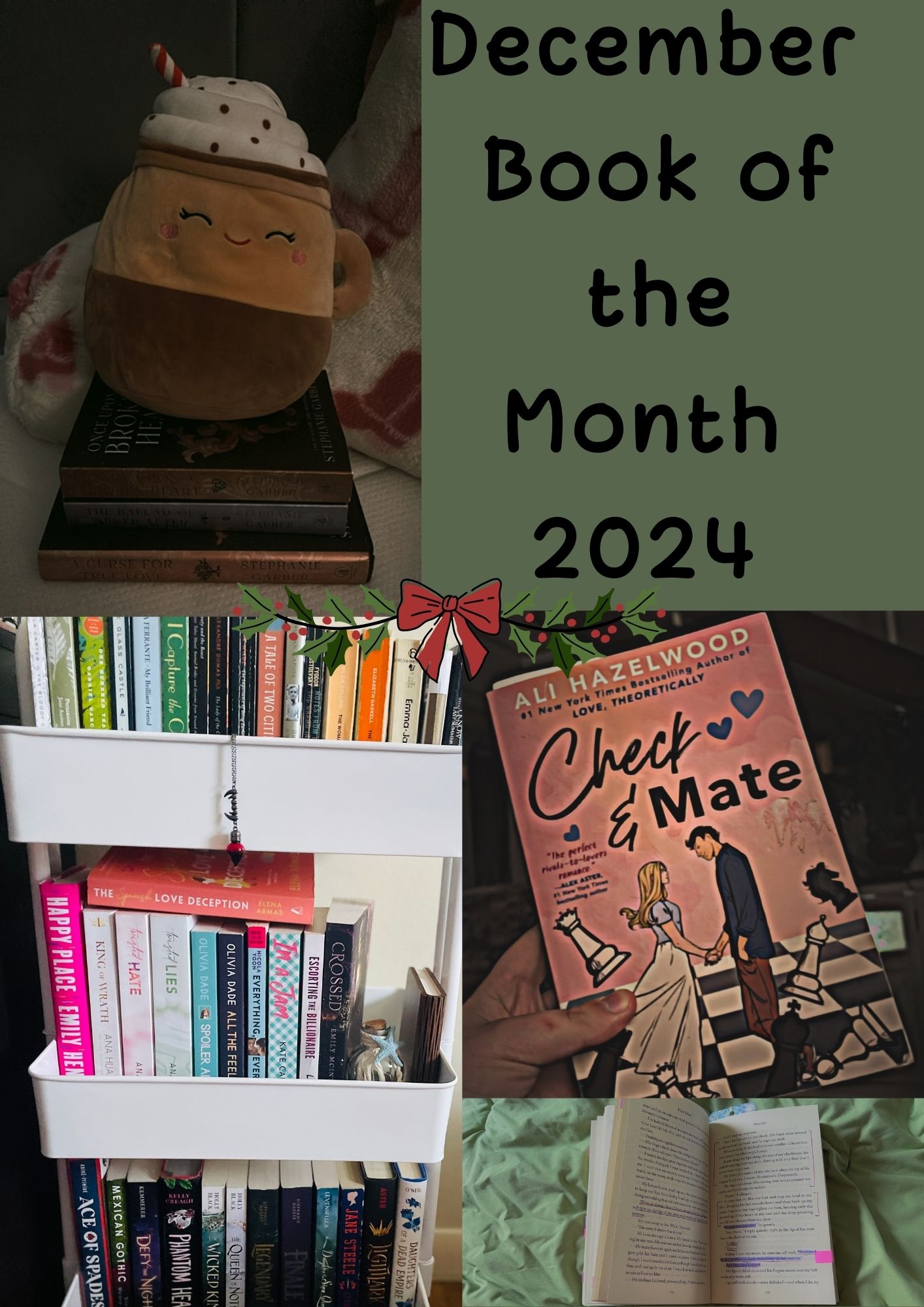 Christmas time is here. The end of the year is fast approaching and the pile of books is smaller. A glimpse into the past reading year. (made with Canva.) 