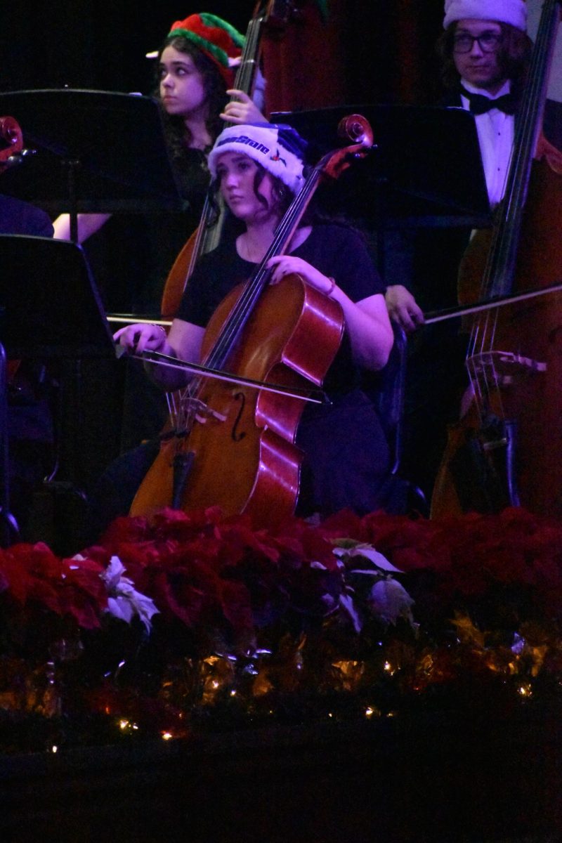 Junior Gabrielle Filer plays the cello for the orchestra. Orchestra members may advance to districts. 