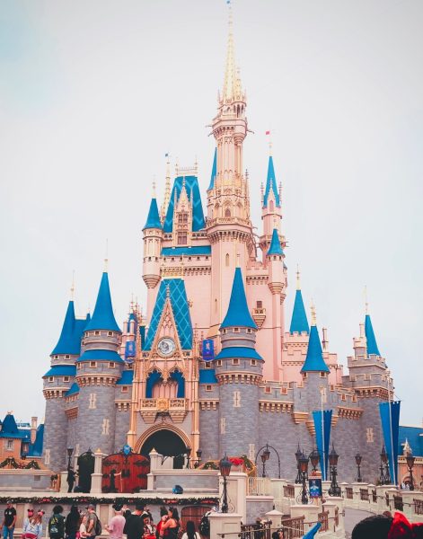 Costly castle! Cinderella's Castle, located in Magic Kingdom costs about $36.9 million. When it was built in 1970, it only costed $4.7 million.