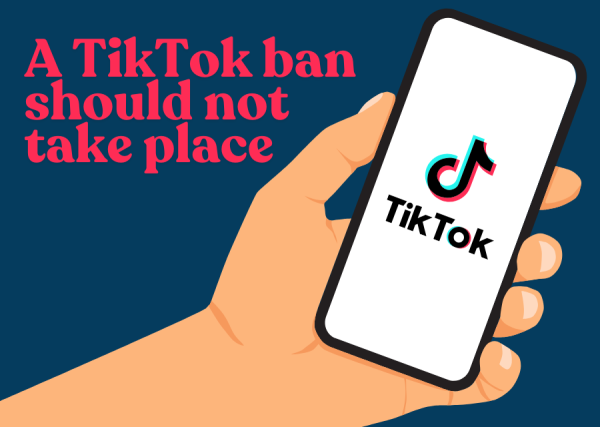 American users have had access to TikTok since its 2016 release. In the US, over 167 million people use the app.