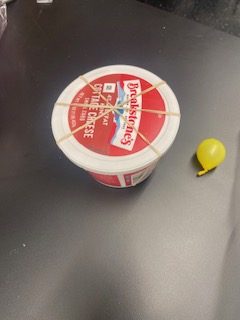 Cottage Cheese. Container filled with nothing but cotton balls and a small balloon.  