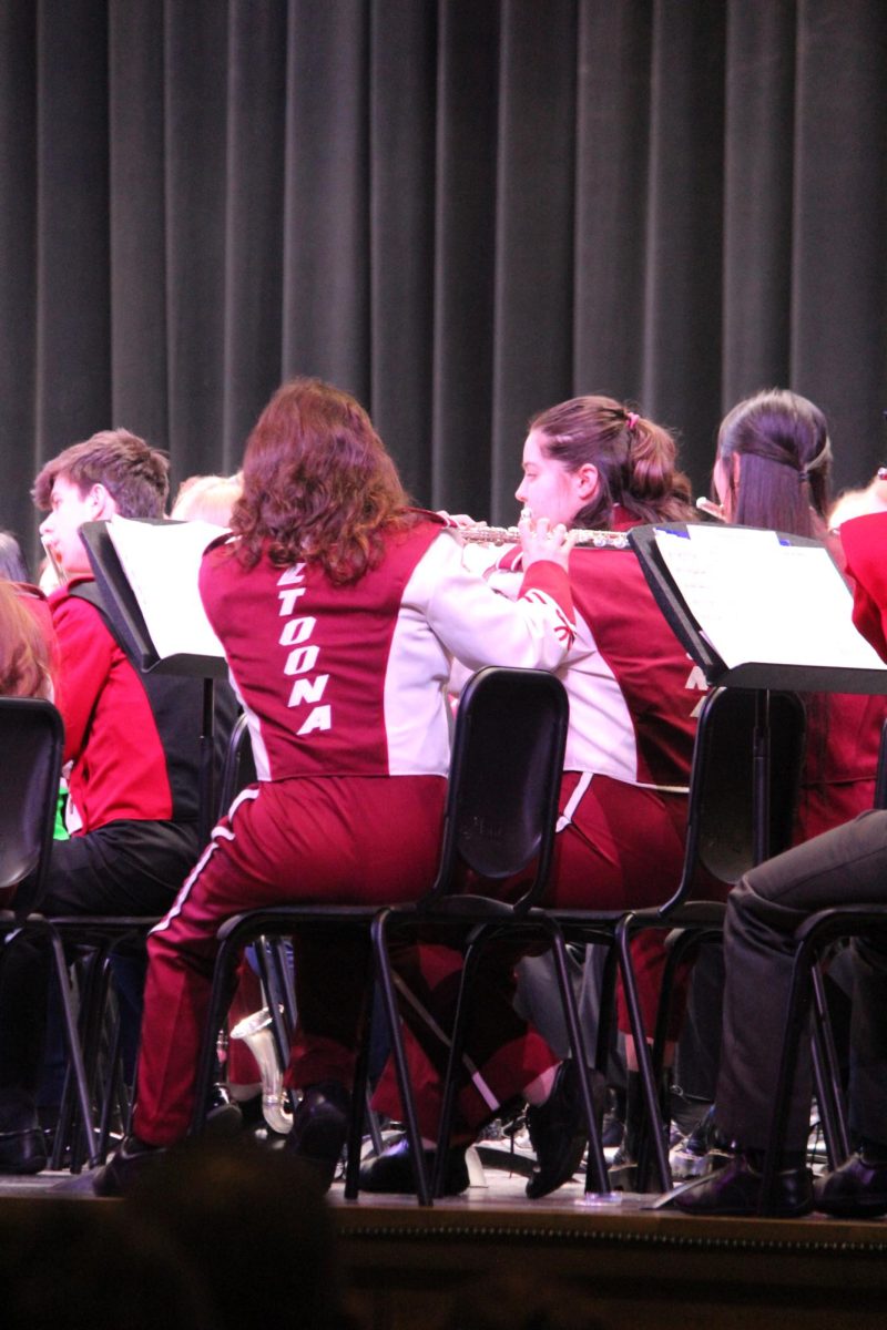 Musical Madison. Juniors Madison Aboud and Grace Beldin play the flute during the PMEA Region Band concert. This concert was on March 7. 