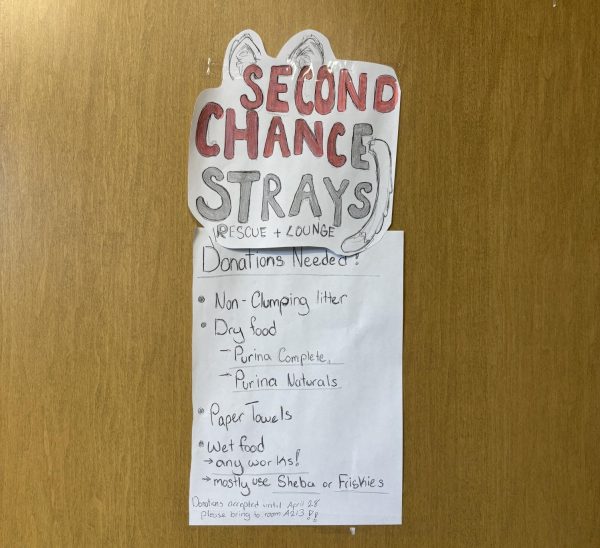 As a part of the project, students also made posters to advertise the donation drive. These posters have throughout the school. 