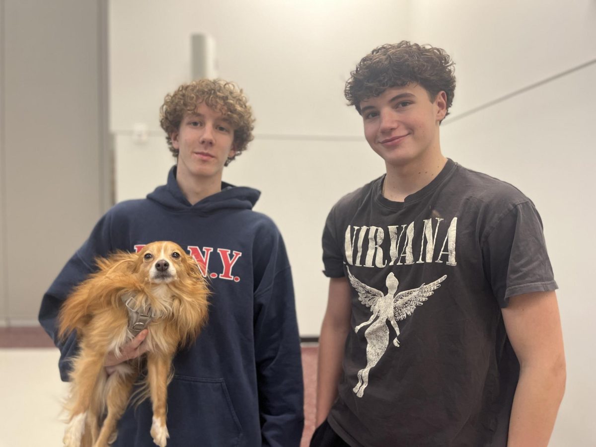 Echo in the Halls: Spring Athletes Speak on Season