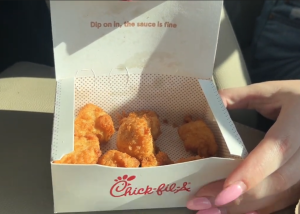 Chicken Nugget Review