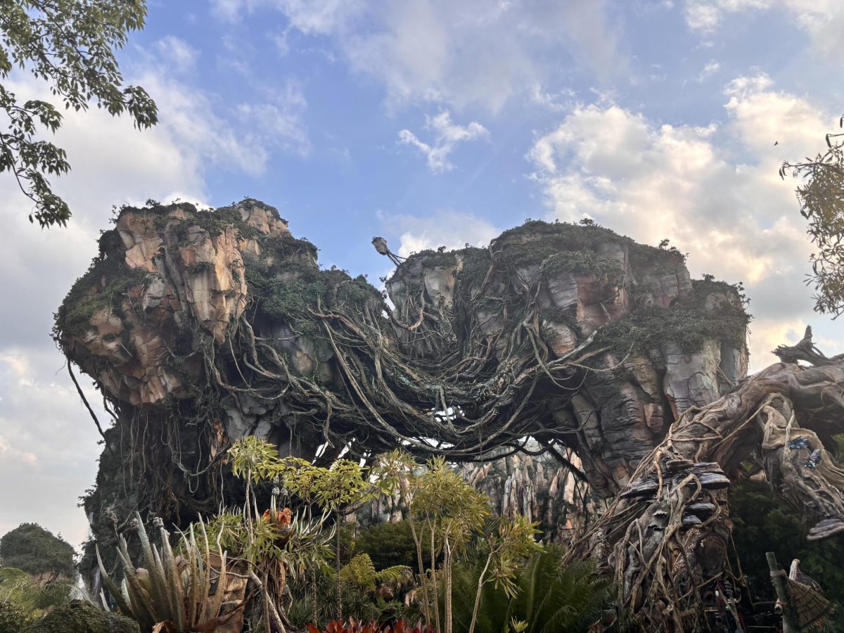 Waiting in line. Students in line for "Flight of Passage," a ride themed around "Avatar" were able to see the many sights surrounding the park and the ride. 